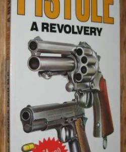 Ilustrovaný průvodce Pistole a revolvery