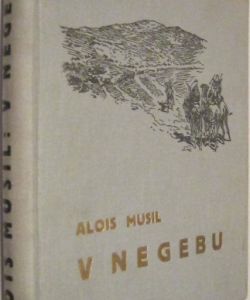 V Negebu