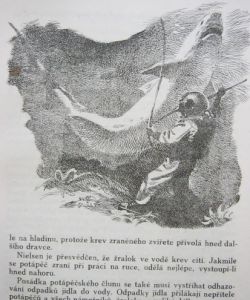 Hledači pokladů