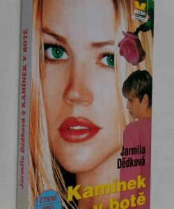 Kamínek v botě