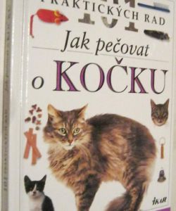 Jak pečovat o kočku