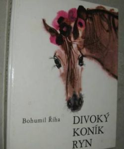 Divoký koník Ryn