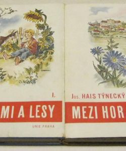 Mezi horami a lesy I-II