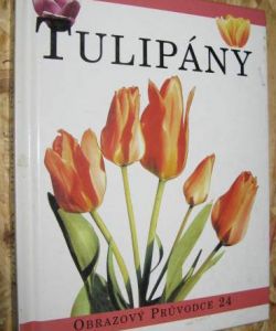 Tulipány