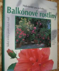 Balkónové rostliny