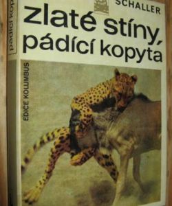 Zlaté stíny, pádící kopyta