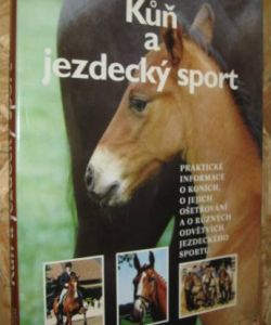 Kůň a jezdecký sport