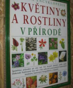 Květiny a rostliny v přírodě