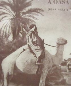 Poušť a oasa ( Nová Arabie)