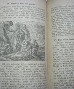 Schusterův Biblický dějepis Starého i Nového zákona pro školy obecné