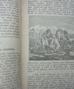 Schusterův Biblický dějepis Starého i Nového zákona pro školy obecné