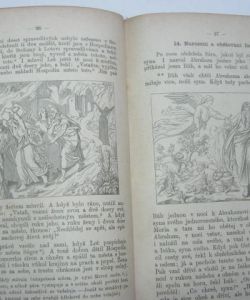 Schusterův Biblický dějepis Starého i Nového zákona pro školy obecné