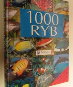 1000 ryb