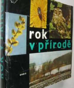 Rok v přírodě