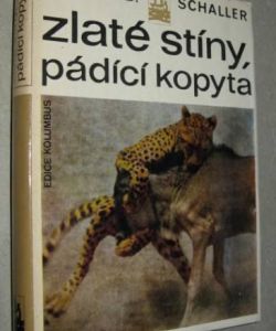 Zlaté stíny, pádící kopyta