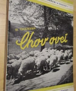 Chov ovcí