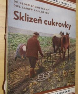 Sklizeň cukrovky