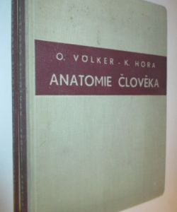 Anatomie člověka - nauka o kostech