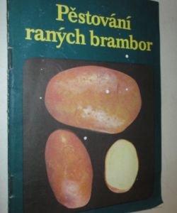 Pěstování raných brambor